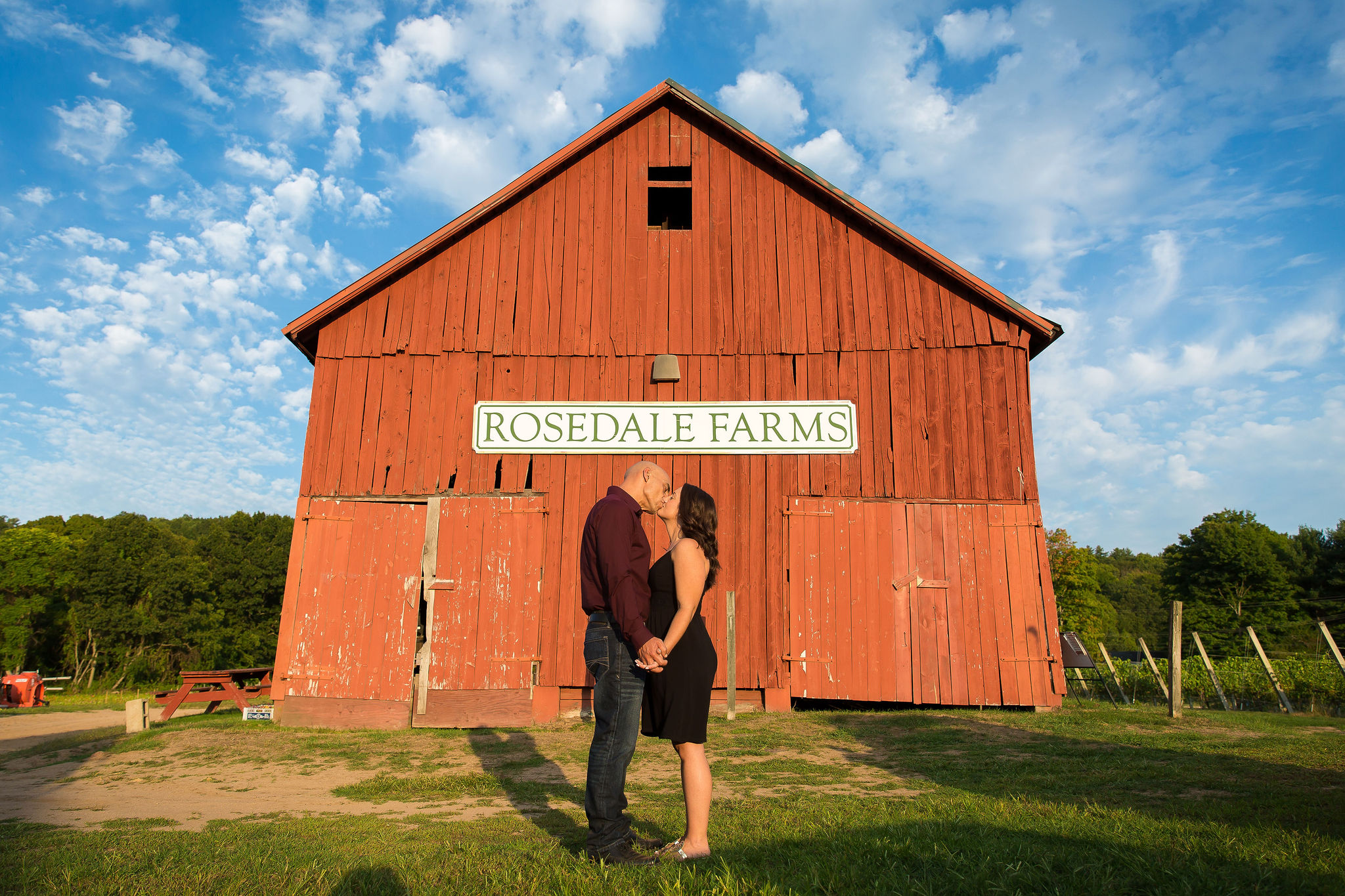 rosedale farm vineyard engagement photos