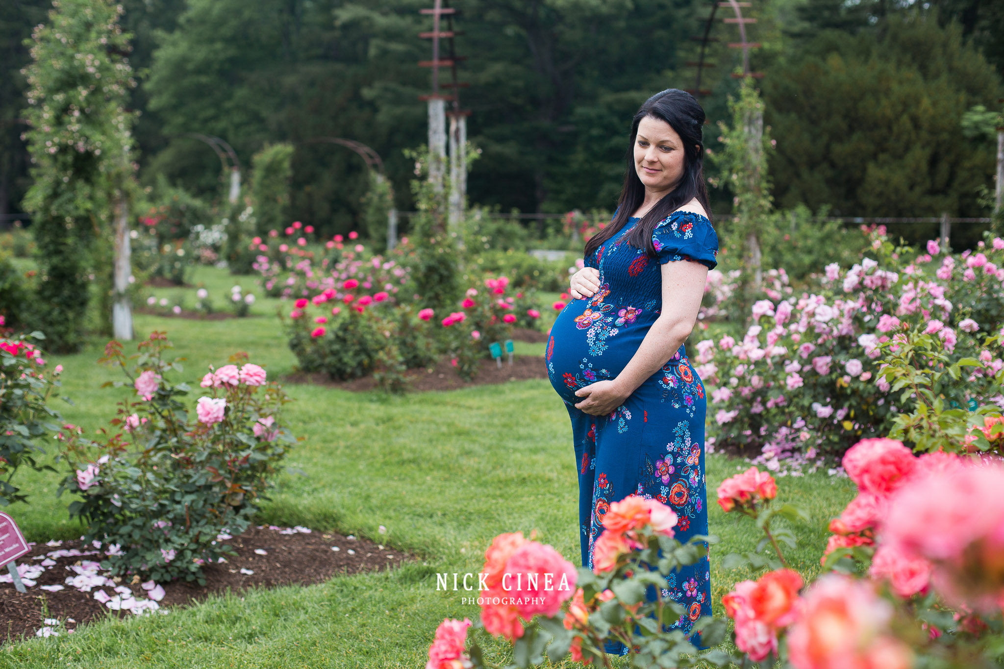 maternity photos elizabeth park west hartford